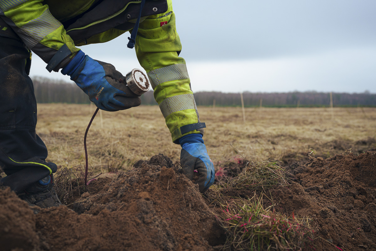 Solarpark-Schwerin-by-Dr-Metje_Galerie_006